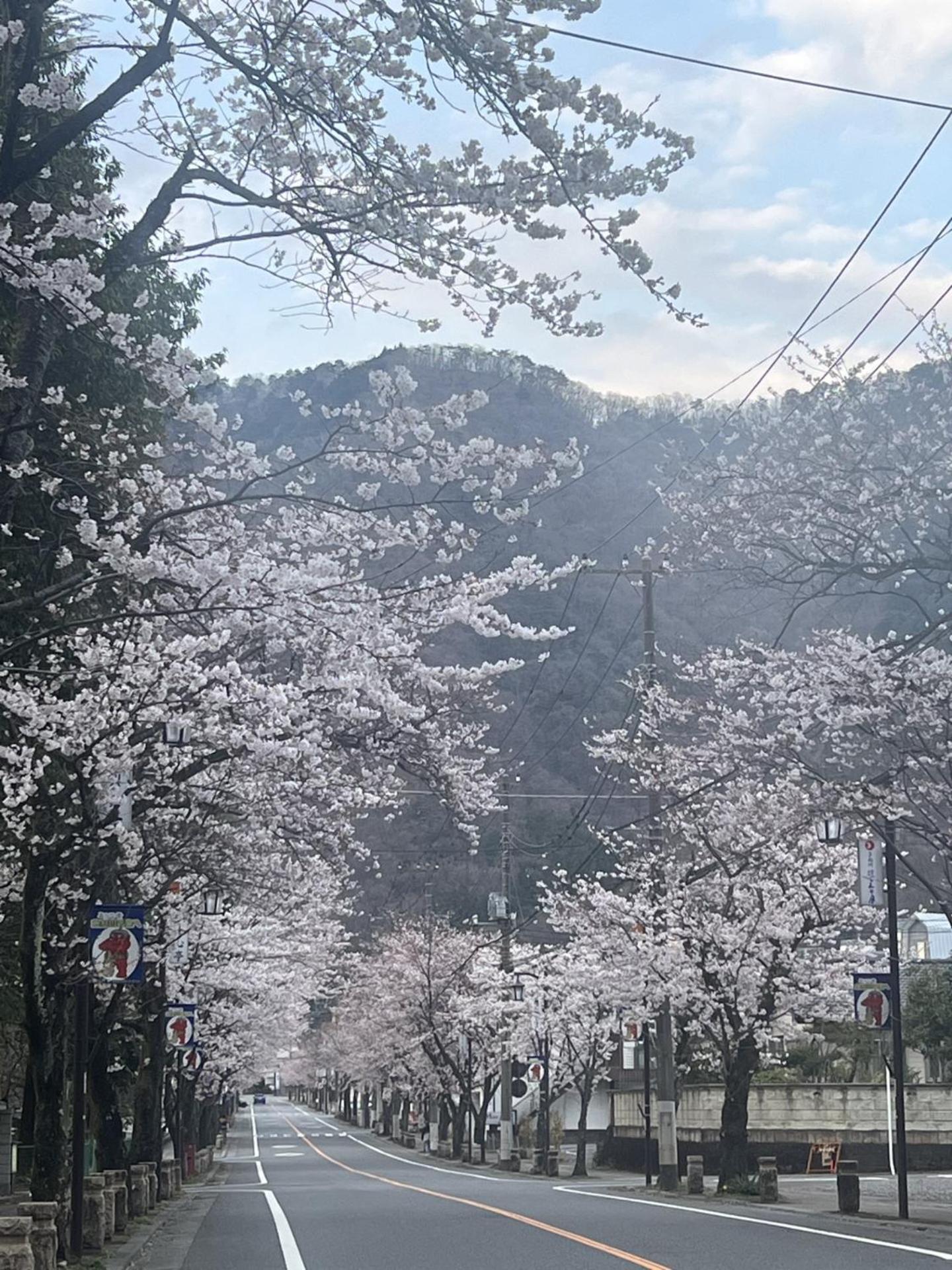 Kinugawa Keisui Hotel Nikko Ngoại thất bức ảnh